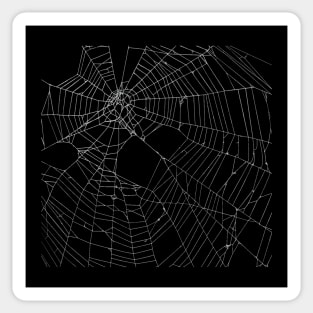 SpiderWeb Web Sticker